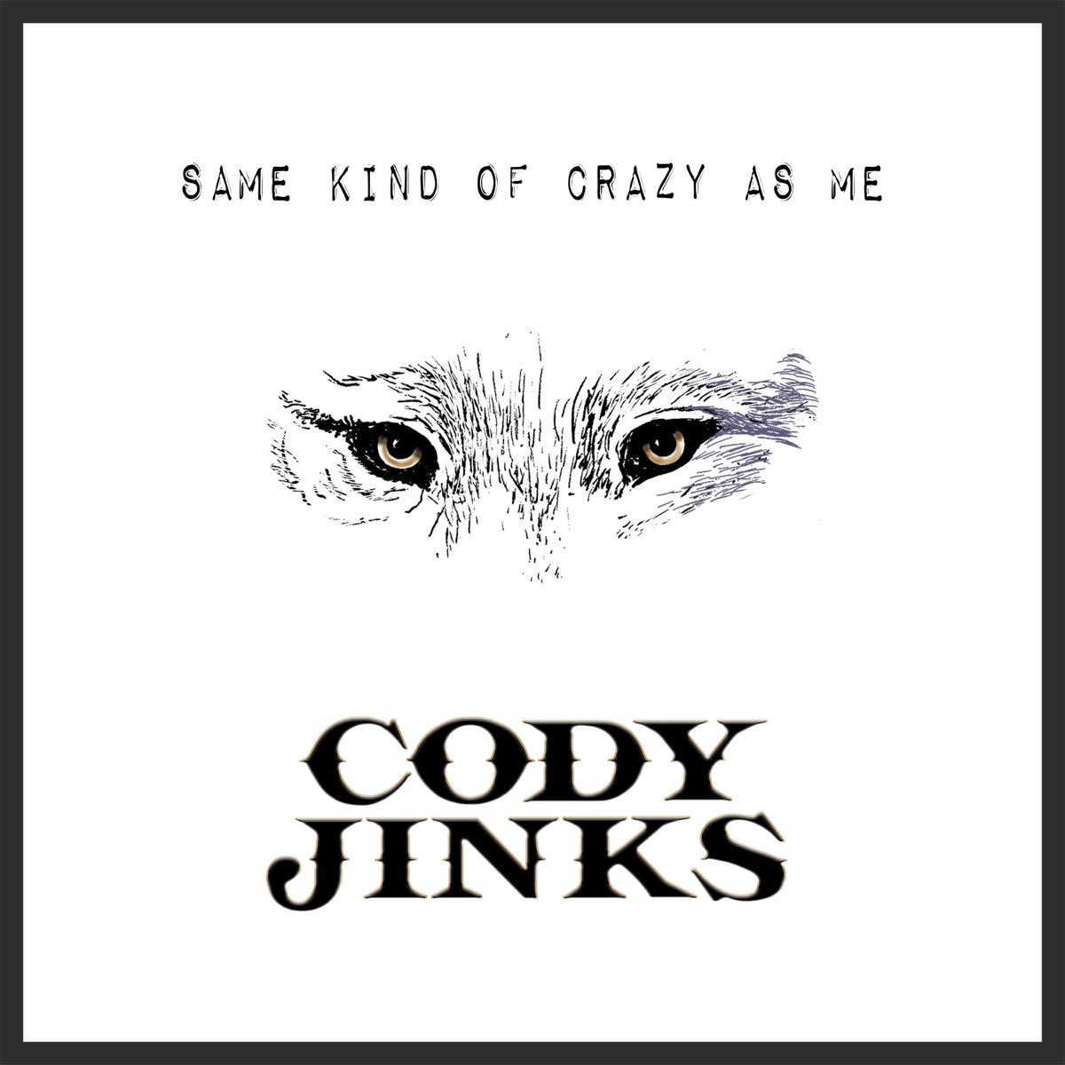 Cody Jinks альбомы обложки. Lyrics fast hand Cody Jinks. Dan Zeitune same kind.