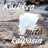 Kaikkea Mitä Kaipasin (feat. Mika Hakanpää, Johanna Särkkälä & Lasse Heikkilä) artwork