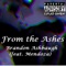 From the Ashes (feat. Mendoza) - Brandon Ashbaugh lyrics