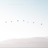 Endless Flight artwork