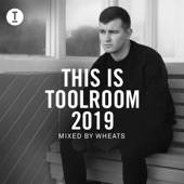 This Is Toolroom 2019 (DJ Mix) artwork