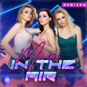 In the Air (Dance 2 Disco Radio Mix) artwork