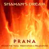 Prana: Music for Yoga, Meditation & Relaxation album lyrics, reviews, download