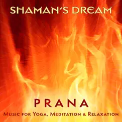 Prana: Music for Yoga, Meditation & Relaxation by Shaman's Dream album reviews, ratings, credits