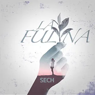 La Fulana (feat. Martin Machore) by Sech song reviws