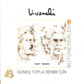 Güneş Topla Benim İçin artwork