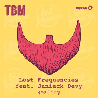 Reality (feat. Janieck Devy) by Lost Frequencies song reviws