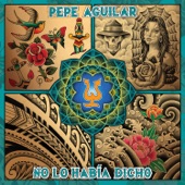 Pepe Aguilar - Mi Lindo Pueblo