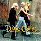 Dixie Chicks - There's Your Trouble