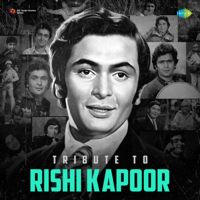 Rishi Kapoor - Tribute To Rishi Kapoor artwork