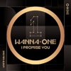 Wanna One (ワナワン)