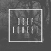 Deep Forest