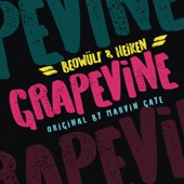 Grapevine artwork