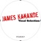 You You You (Alex Gaudino & Jerma Extended Mix) - James Kakande lyrics