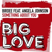 Something About You (feat. Angela Johnson) artwork