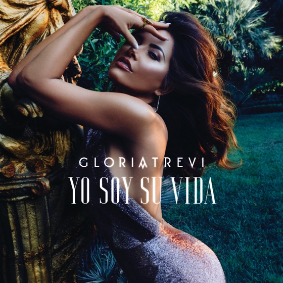 Cover artwork for Yo Soy Su Vida