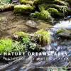 Forest Valley Water Stream album lyrics, reviews, download