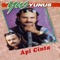Api CInta - Yus Yunus lyrics