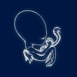 Ágætis Byrjun - Sigur Ros