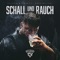 Drehen im Kreis (feat. AchtVier) - Stanley lyrics