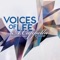 Oceans (Where Feet May Fail) - Voices of Lee lyrics