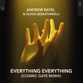 Everything Everything (Cosmic Gate Remix) artwork