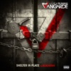 Shelter In Place (feat. Blacastan) - Single