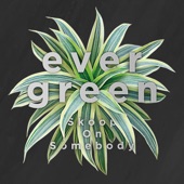 evergreen artwork