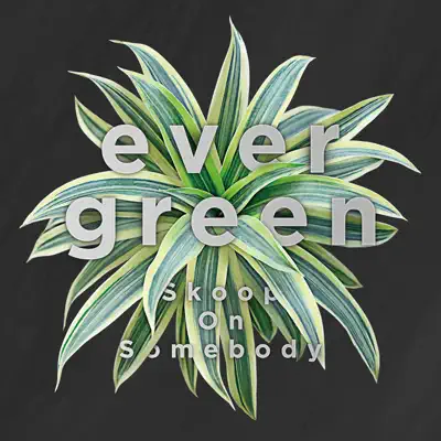 evergreen - Single - Skoop on Somebody