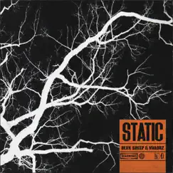 Static - Single by Blvk Sheep & Nvadrz album reviews, ratings, credits