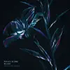 Blame (NGHTMRE Remix) - Single album lyrics, reviews, download