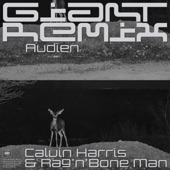 Giant (Audien Extended Remix) artwork