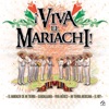 Viva El Mariachi, 2015