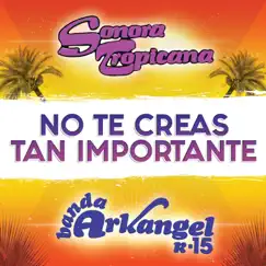 No Te Creas Tan Importante - Single by Sonora Tropicana & Banda Arkangel R-15 album reviews, ratings, credits