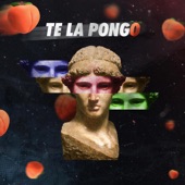 Te la Pongo artwork