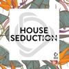 House Seduction, Vol. 14