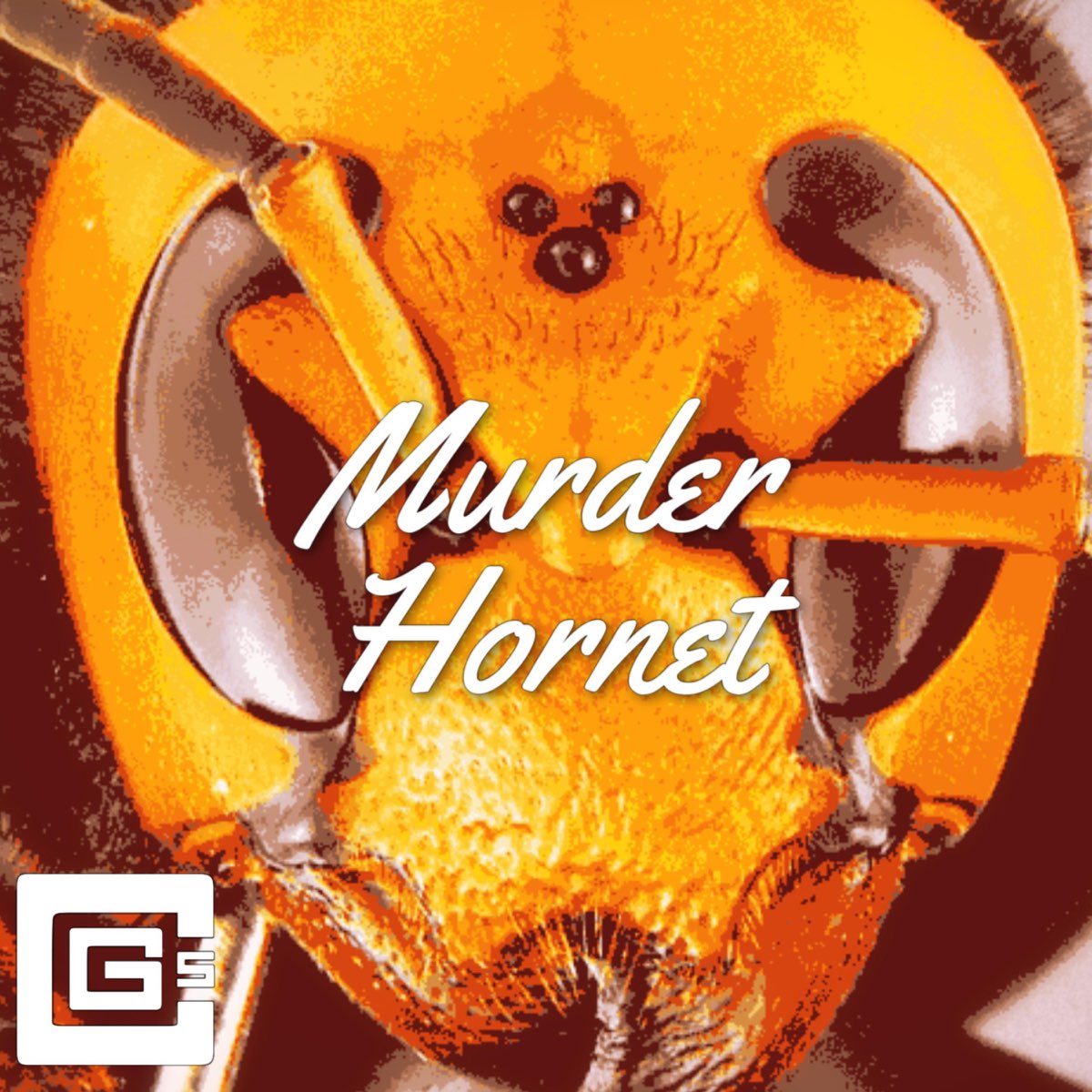 ‎Murder Hornet - Single By CG5 On Apple Music