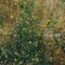 Near Me - Daniel Wilson lyrics