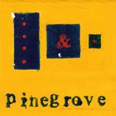 Pinegrove - Size of the Moon