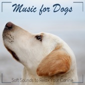 Music for Dogs: Soft Sounds to Relax Your Canine artwork