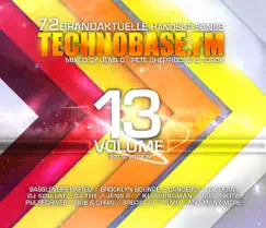 TechnoBase.FM, Vol. 13 by Various Artists album reviews, ratings, credits