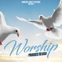Worship (Praises To God) by Instrumental Christian Songs, Christian Piano Music album reviews, ratings, credits