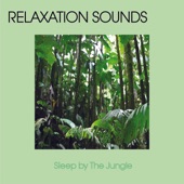 Sleep By the Jungle artwork