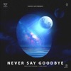 Never Say Goodbye (feat. Eon Zero)