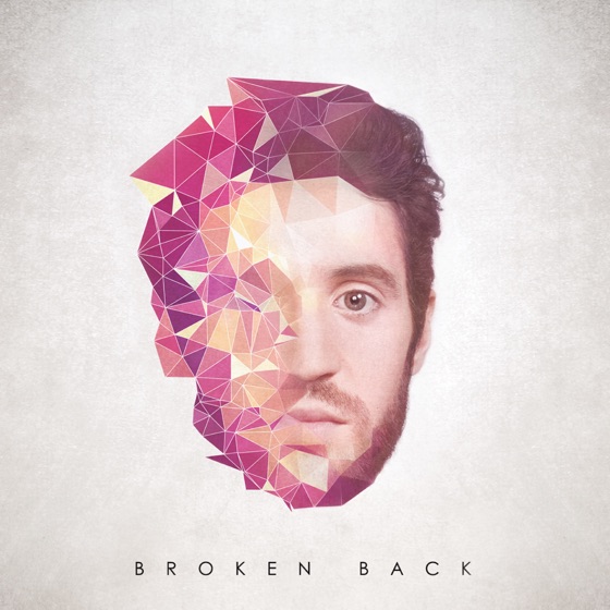 Cover artwork for Halcyon Birds