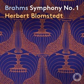 Brahms: Symphony No. 1 & Tragic Overture artwork