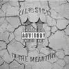 In the Meantime album lyrics, reviews, download