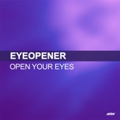 Open Your Eyes (Scott Brown Mix) artwork