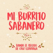 Mi Burrito Sabanero artwork