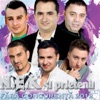 Nek Si Prietenii (Volumul 2), 2012